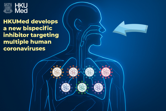 新型雙效抑制劑TMP1對多種人類致病性冠狀病毒，包括高致病性新冠病毒、沙士病毒及中東呼吸綜合症冠狀病毒，均具廣譜抗病毒效力。
 